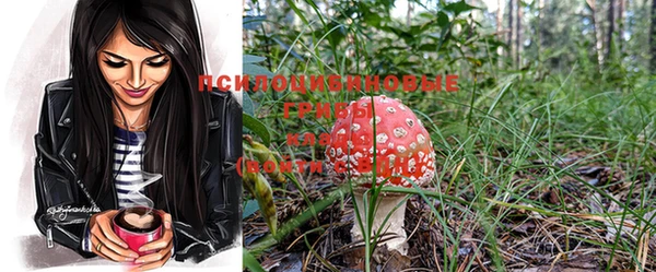 метадон Липки