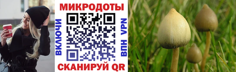 Псилоцибиновые грибы ЛСД  Чулым 